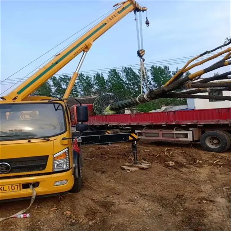 积玉口镇100吨吊车租赁费用怎么算？3大关键因素+省钱技巧全解析